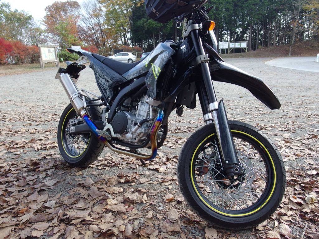 WR250X